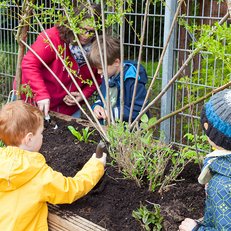 Kitakindern gärtnern im Hochbeet