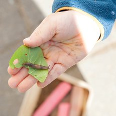 Kitakind hält Nacktschnecke auf Blatt in Hand